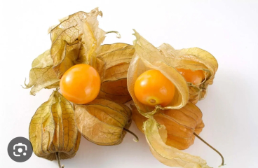 Why are Gooseberries illegal?